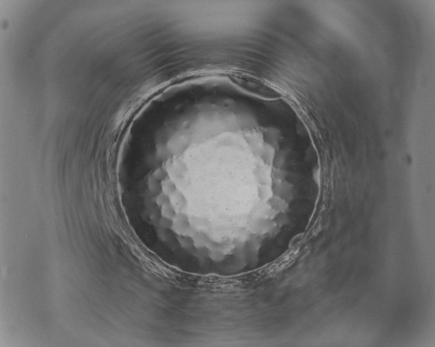 X0000071970337200607141505