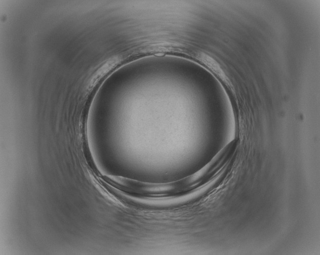 X0000071970389200607141505