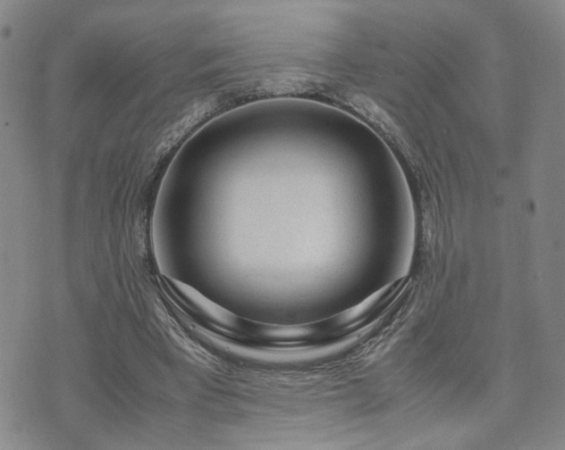 X0000071970393200607141505