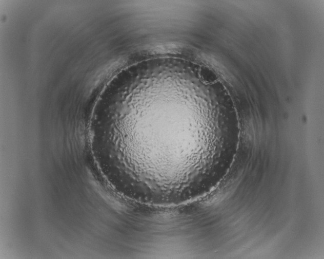 X0000071970402200607141505