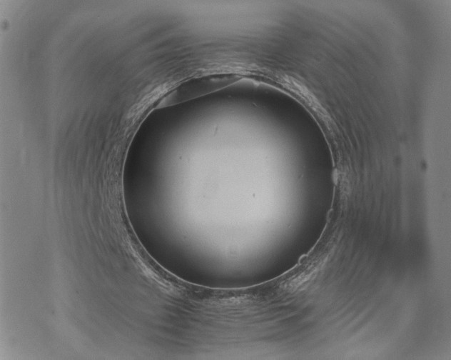 X0000071970433200607141503