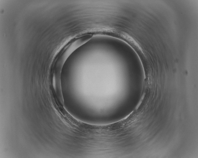 X0000071970436200607141503