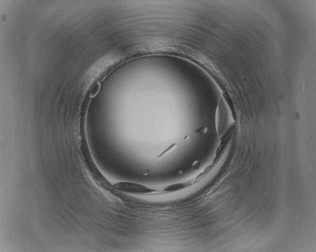 X0000071970438200607141503