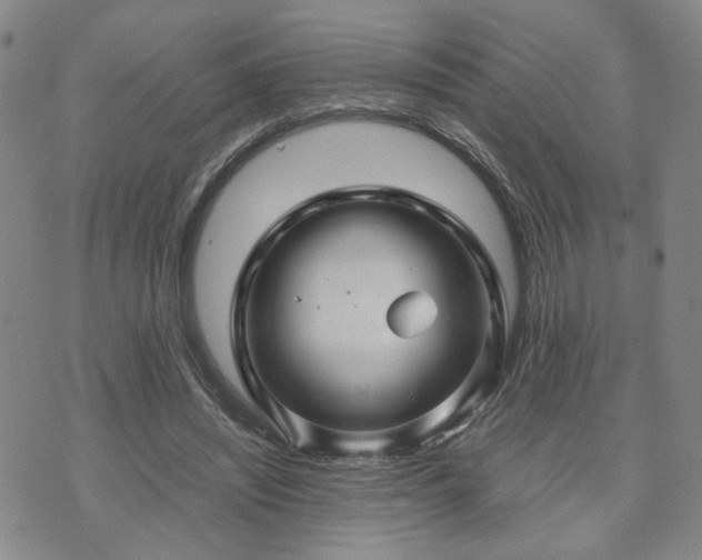 X0000071970444200607141504