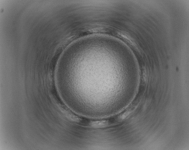X0000071970461200607141504