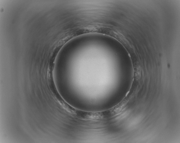 X0000071970466200607141504