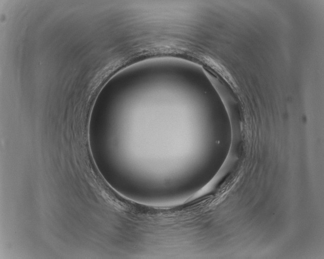 X0000071970481200607141503