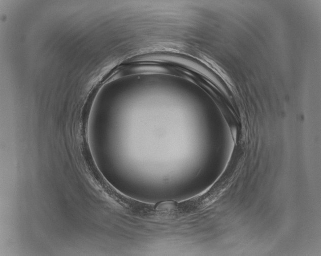 X0000071970485200607141503