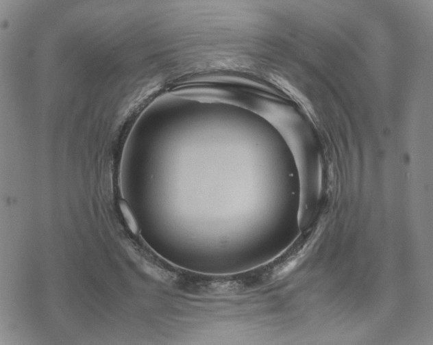 X0000071970493200607141503