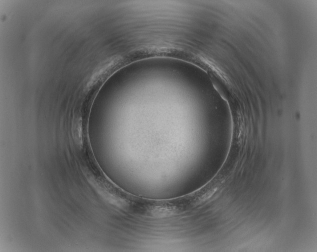 X0000071970494200607141503