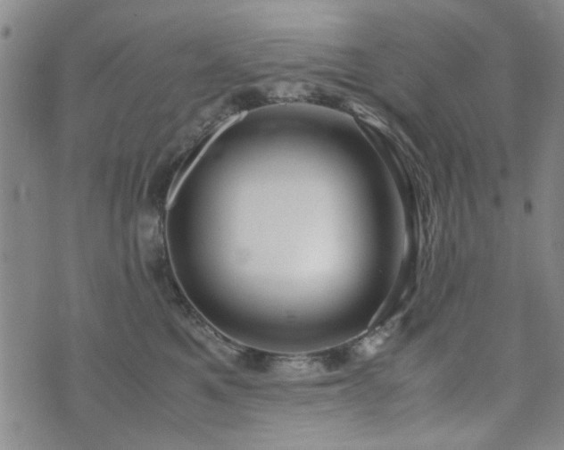 X0000071970521200607141503