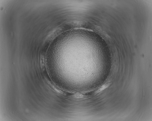 X0000071970528200607141503