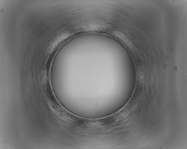 X0000071970583200607141502