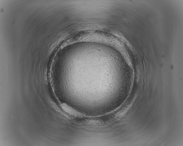 X0000071970585200607141502