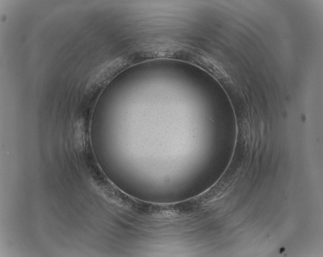 X0000071970594200607141501