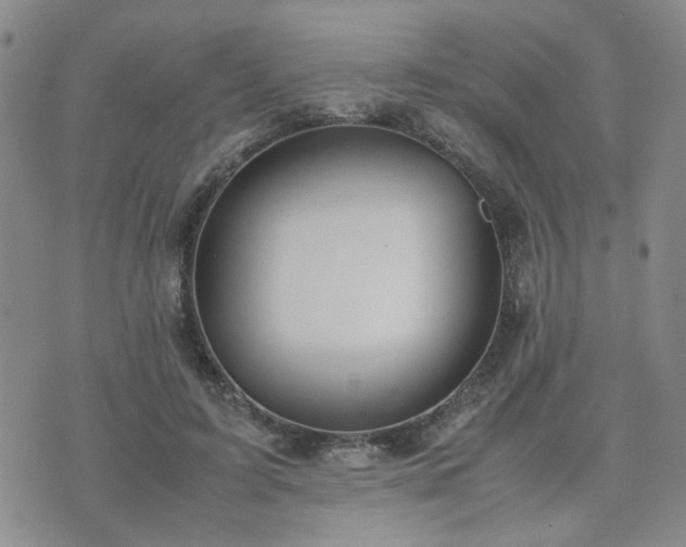 X0000071970595200607141501