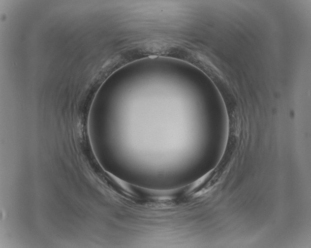 X0000071970597200607141501