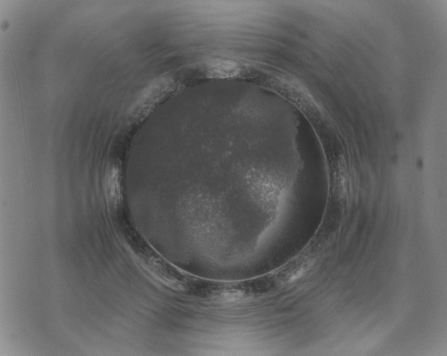 X0000071970598200607141501