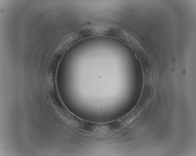 X0000071970599200607141501