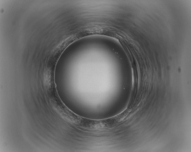 X0000071970600200607141501