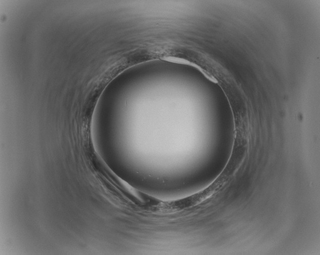 X0000071970601200607141501