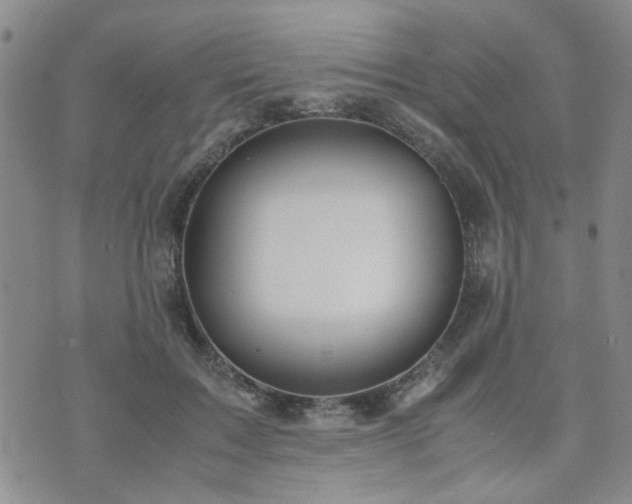 X0000071970603200607141501