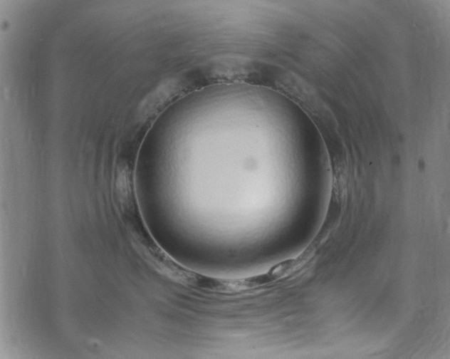 X0000071970623200607141501