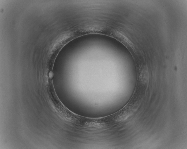 X0000071970635200607141500