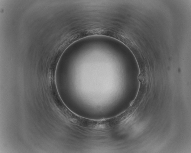 X0000071970647200607141501