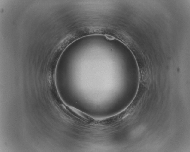 X0000071970648200607141501