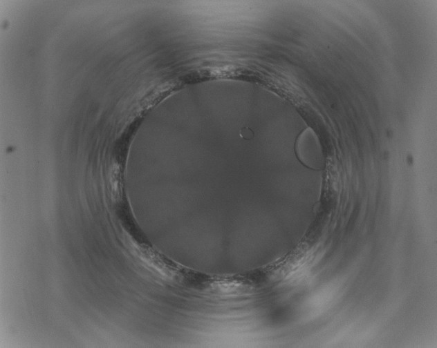 X0000071970650200607141501