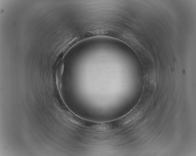 X0000071970652200607141501