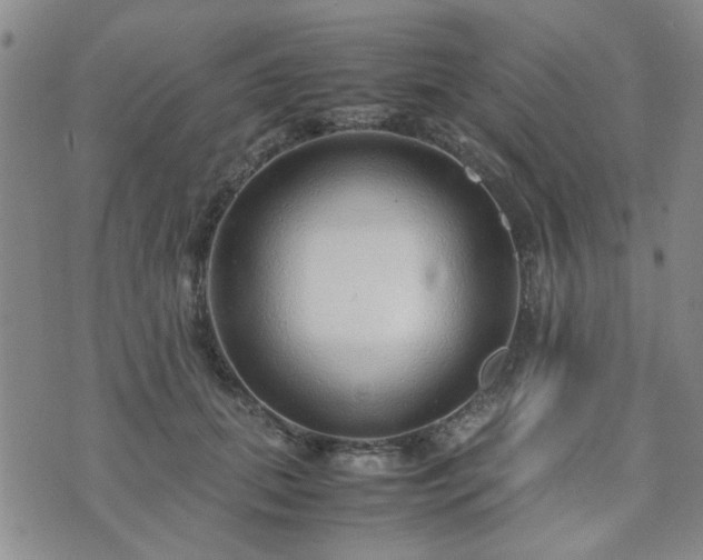 X0000071970655200607141501