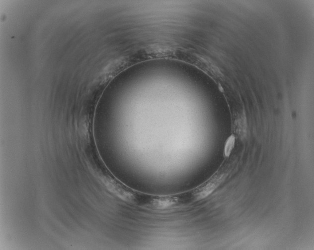 X0000071970662200607141501