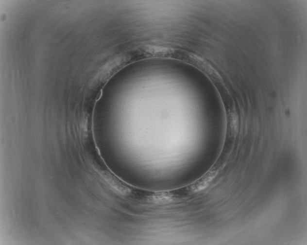 X0000071970668200607141501