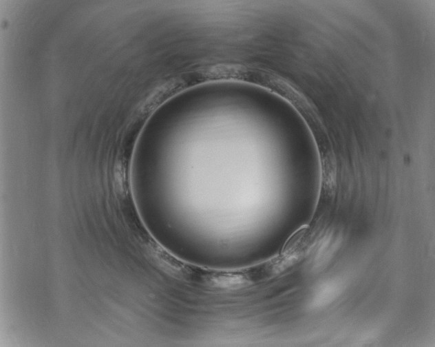 X0000071970669200607141501