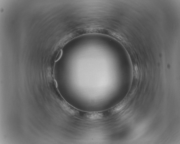 X0000071970670200607141501