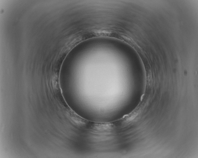 X0000071970671200607141501