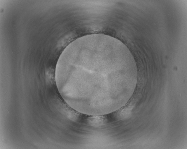 X0000071970672200607141501