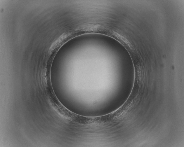 X0000071970682200607141500