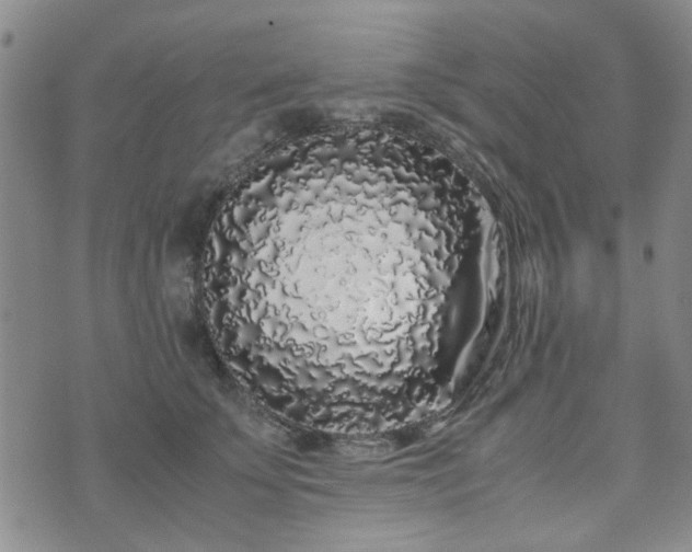 X0000071970707200607141500