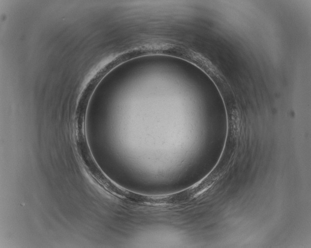 X0000071970726200607141459