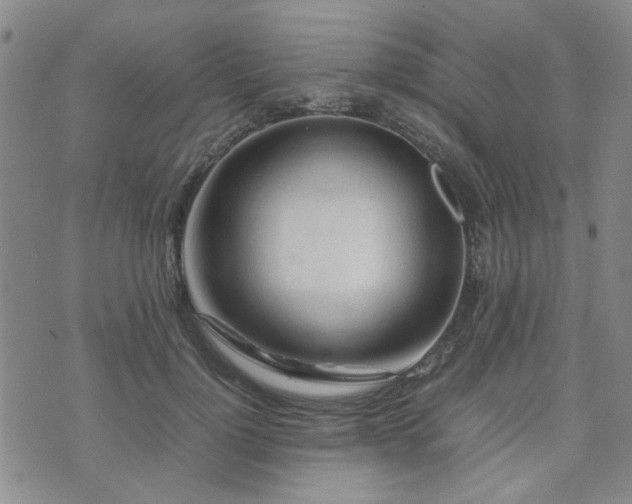 X0000071970748200607141459
