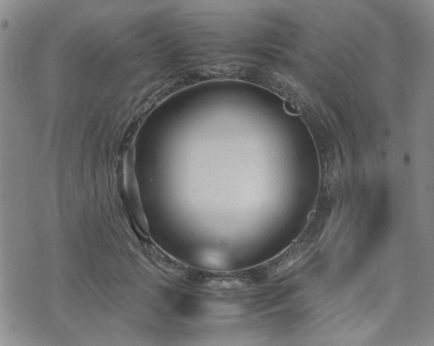 X0000071970749200607141459