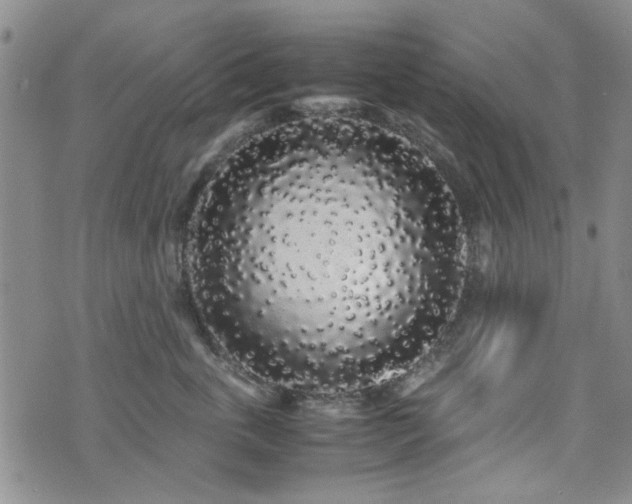 X0000071970763200607141459