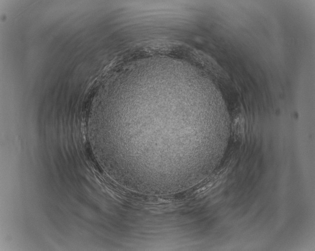 X0000071970772200607141459