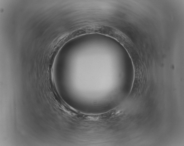 X0000071970773200607141459
