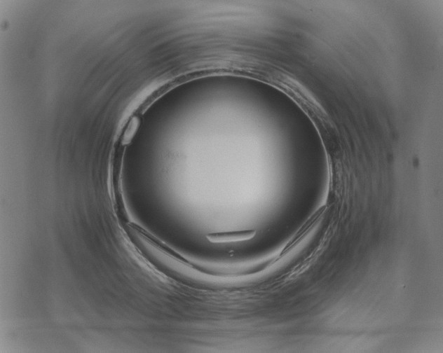 X0000071970788200607141458