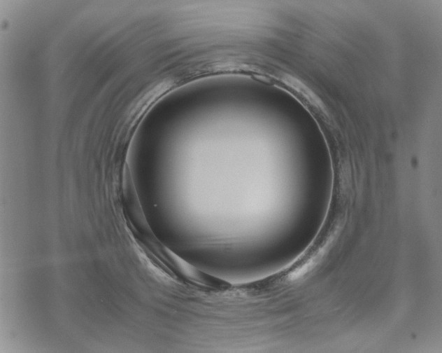 X0000071970801200607141458