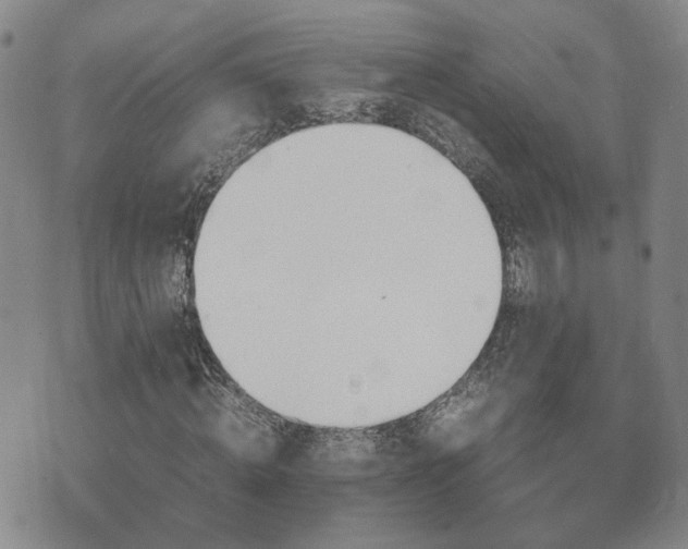 X0000071970820200607141457